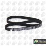 CORREIA DISTRIBUIO BGA                