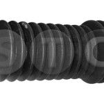 FOLE DIRECCAO STC/CAUTEX                