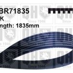 CORREIA VENTO�NHA QUINTON HAZELL        