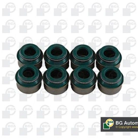 VEDANTES DE VALVULAS BGA                