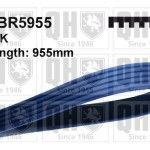 CORREIA VENTO�NHA QUINTON HAZELL        