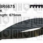 CORREIA VENTO�NHA QUINTON HAZELL        