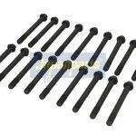 KIT PARAF CABE�A JAPANPARTS             